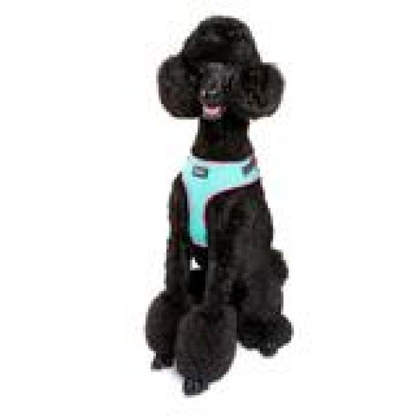 DOOG Neoflex Harness RIN TIN TIN Gr. S